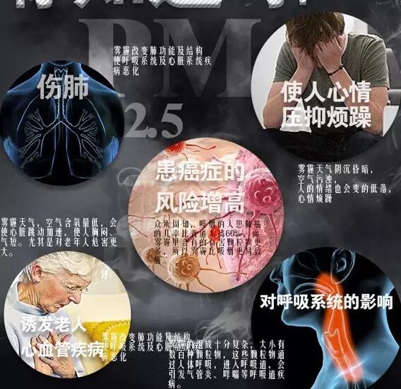 霧霾產生的疾病—91视频美女被强奸